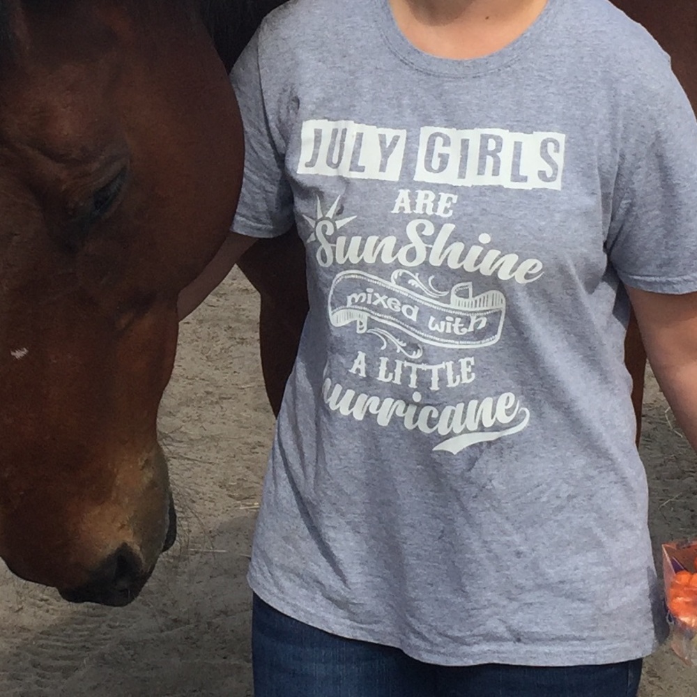 SUNSHINE MIXED WITH A LITTLE HURRICANE T-SHIRT